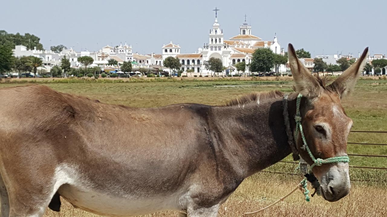 Hospederia Rural Las Buganvillas Ель-Росіо Екстер'єр фото