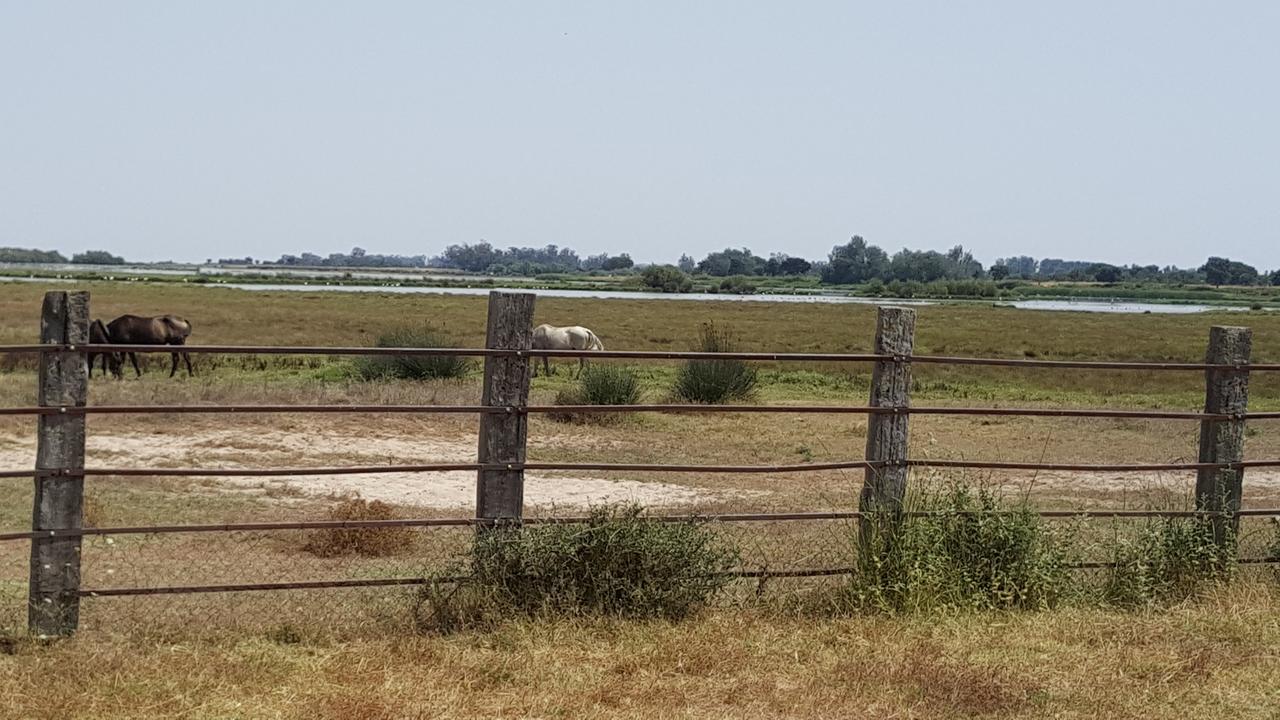 Hospederia Rural Las Buganvillas Ель-Росіо Екстер'єр фото