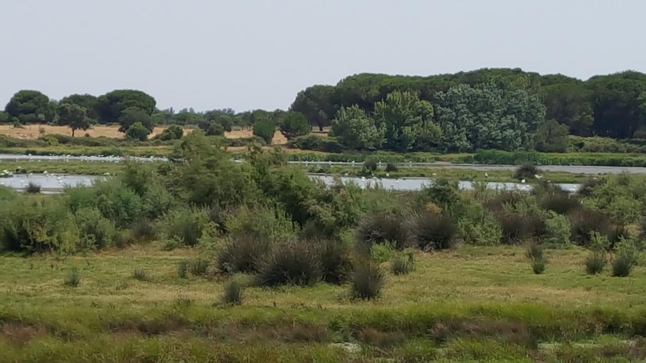 Hospederia Rural Las Buganvillas Ель-Росіо Екстер'єр фото